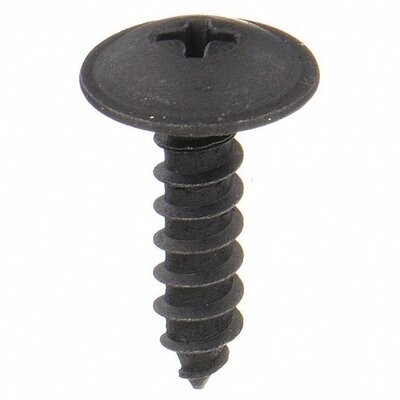 4.8 x 20 Phillips Screw - Pack of 50