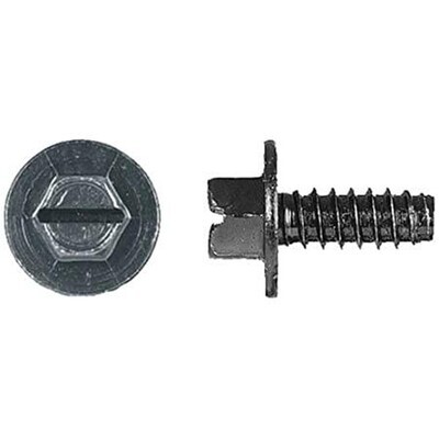 Ford Tag Screws - Pack of 100