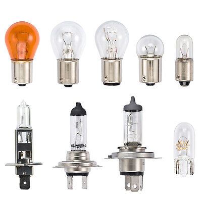 Bulbs &amp; Fuses