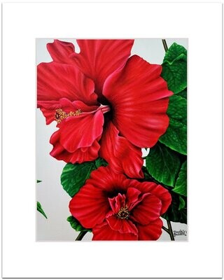 Hibiscus Matted Print - 5x7 matted to 8x10
