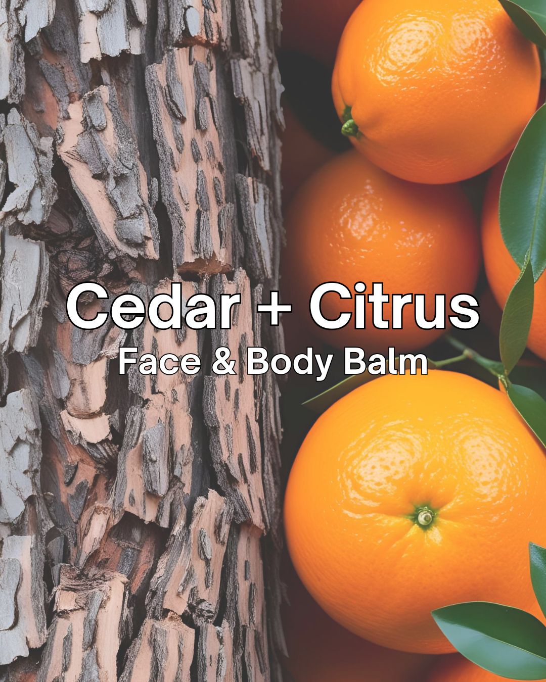 Face &amp; Body Balm - Cedar + Citrus