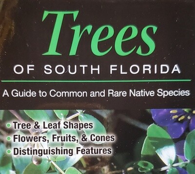 Trees of South Florida