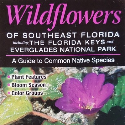 Wildflowers of Southeast FL