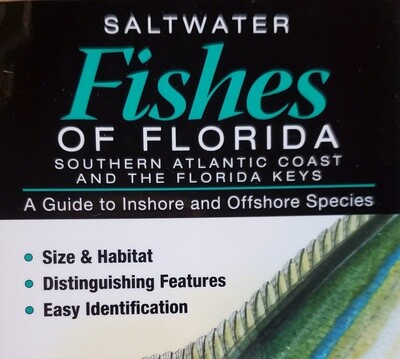 Saltwater Fish of the Florida Keys