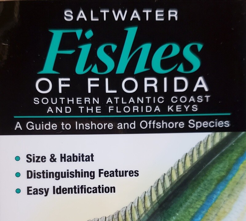 Saltwater Fish of the Florida Keys