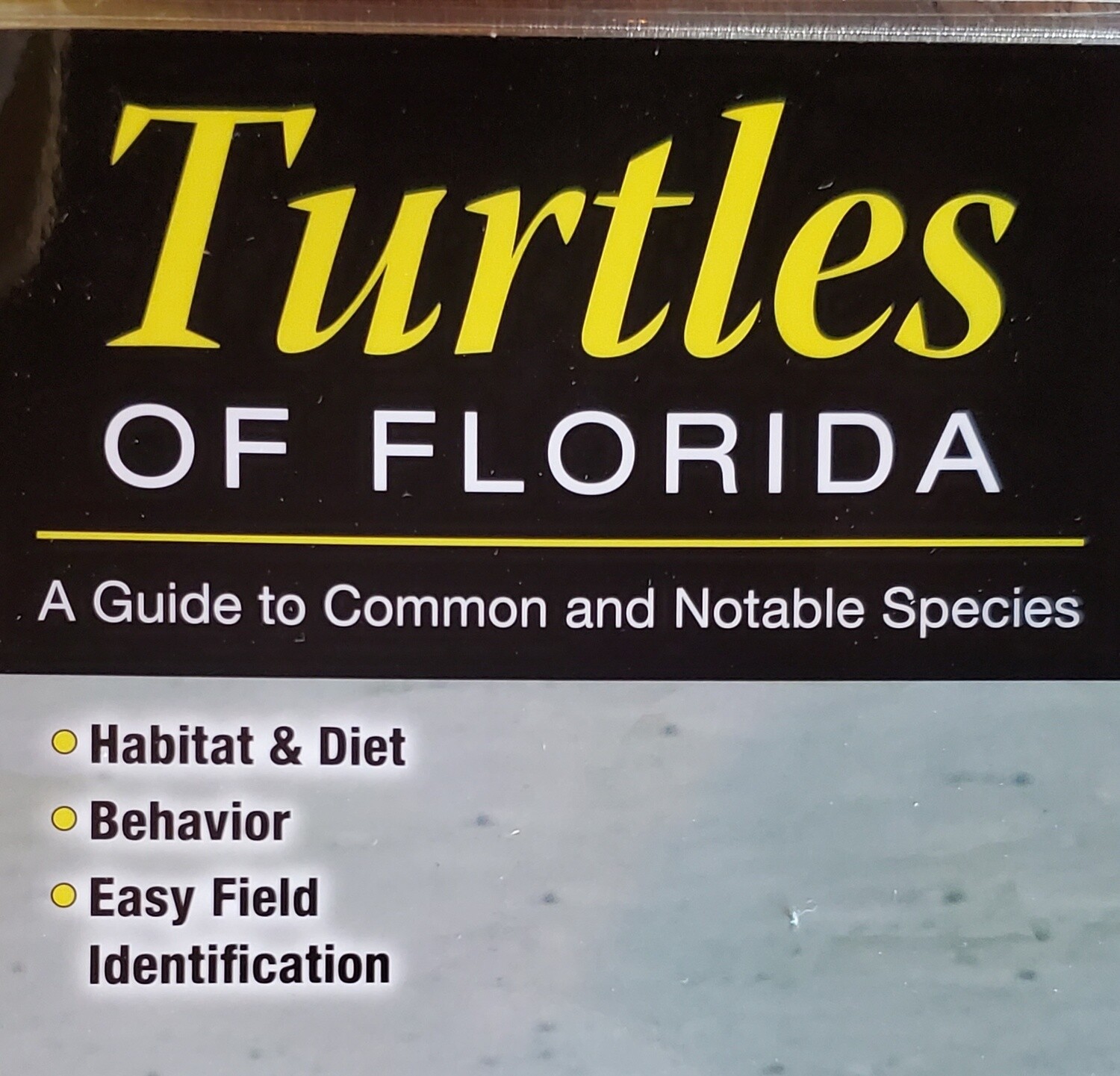 Turtles Of Florida