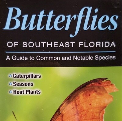 Butterflies Of Southeast FL