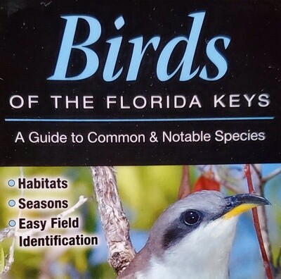 Birds Of the Florida Keys