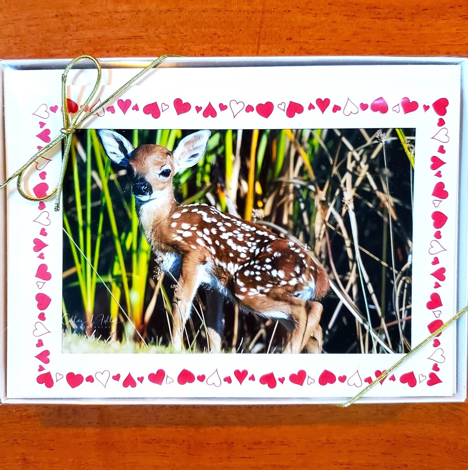 Box of 10 Note Cards