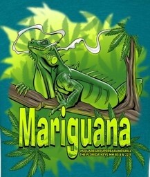 Mariguana