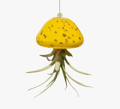 Hand blow Art Glass Jellyfish Air plant Holder, Colour: Yellow &amp; Gold