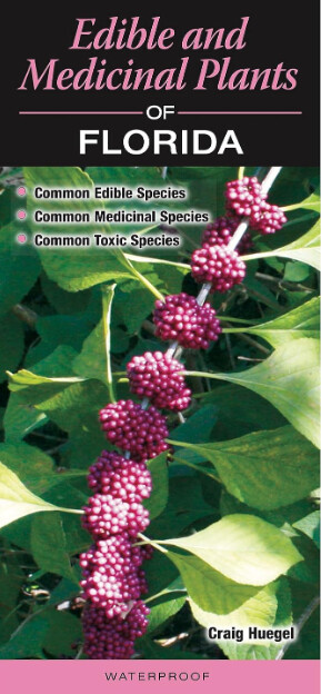 Edible and Medicinal Plants of Florida