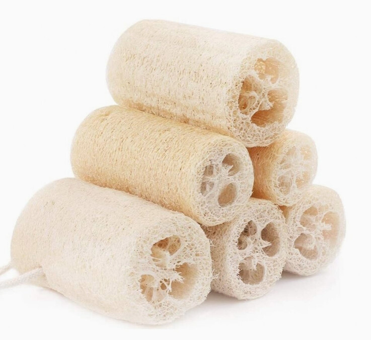 Natural Loofah | Organic Exfoliating Sponge