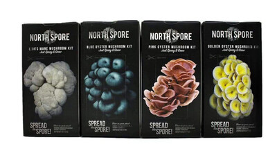 North Spore Spray and Grow Kit