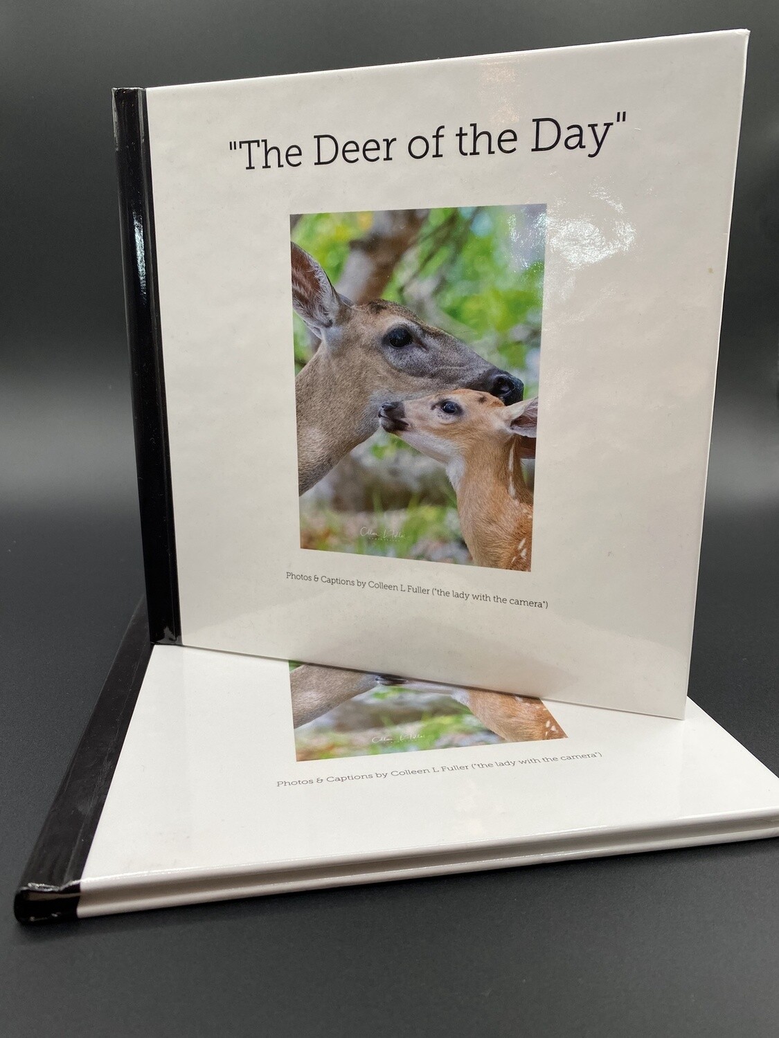 "The Deer of the Day"