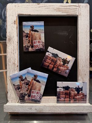Bills Bales Magnets