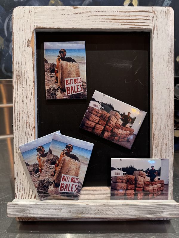 Bills Bales Magnets