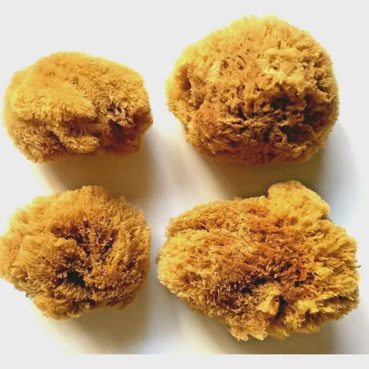 Natural Wool Sea Sponge