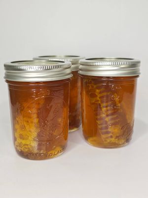 Comb in Jar of Honey