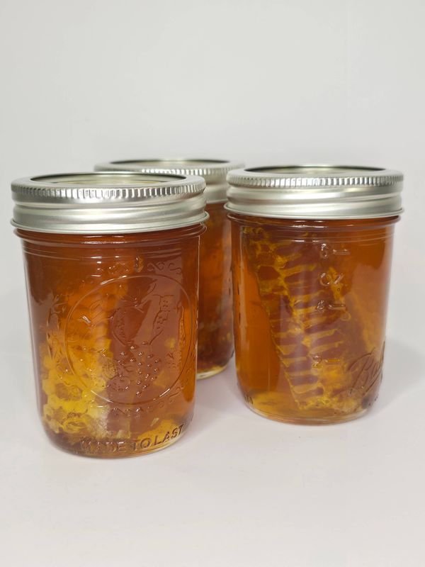 Comb in Jar of Honey