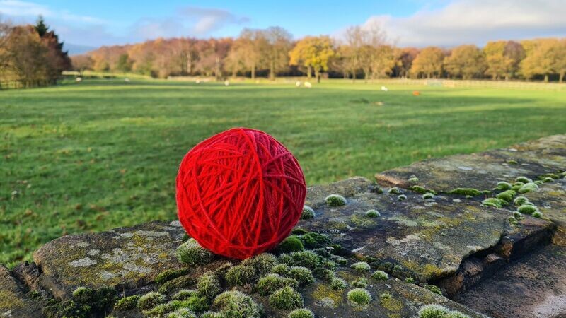 Knitting Wool