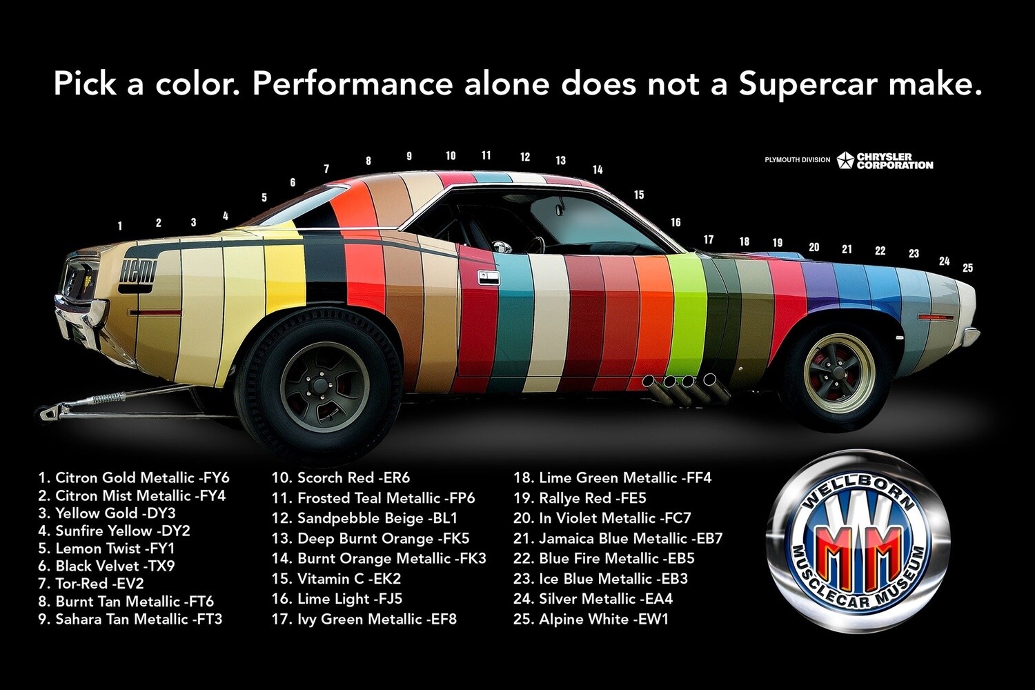 Paint Chip Cuda Banner