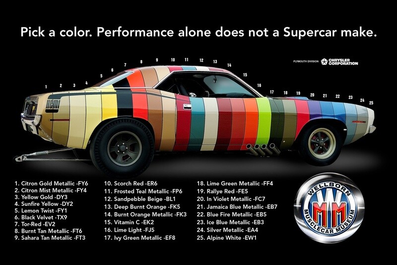 Paint Chip Cuda Banner