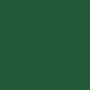 Green Hobby Paint (1oz)