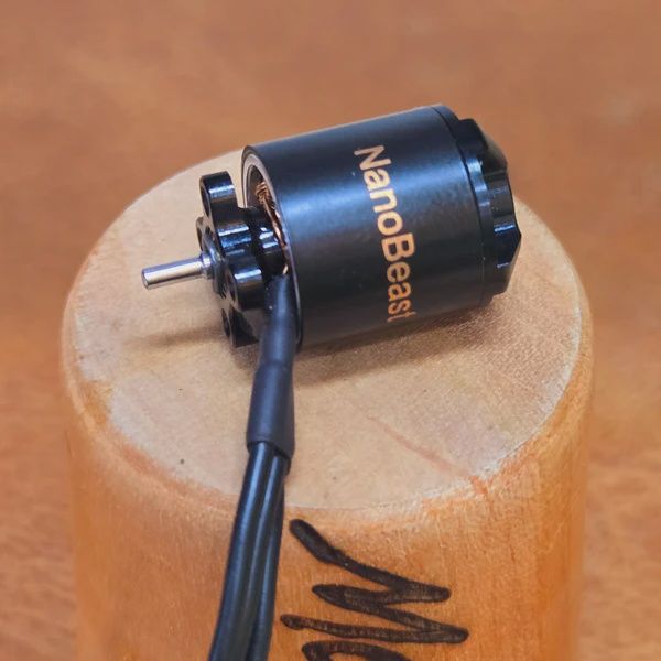 NanoBeast Brushless Motor w/Rockwolf ESC 11T