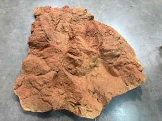Mammoth S (5' x 4')