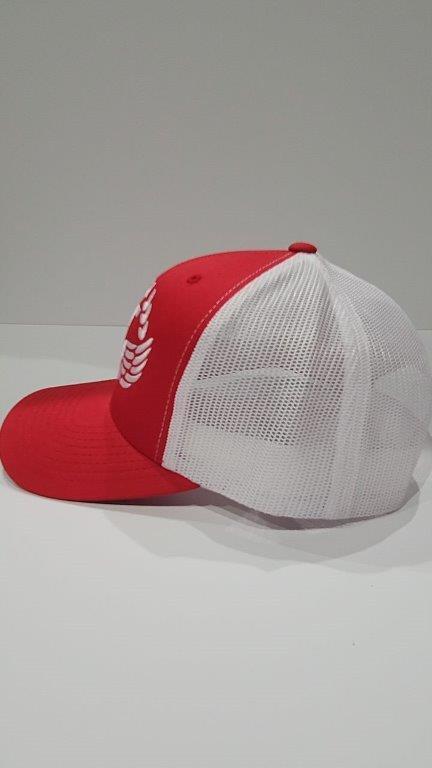 Titans Iconic Logo Hat Design 1