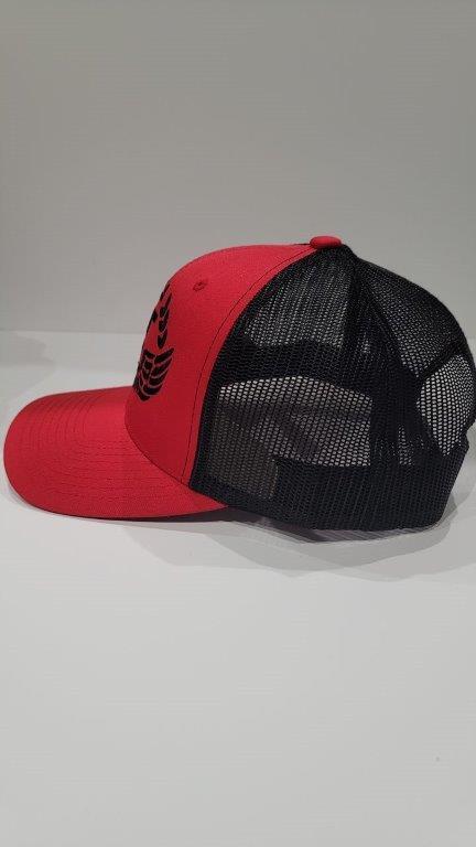 Titans Iconic Logo Hat Design 3