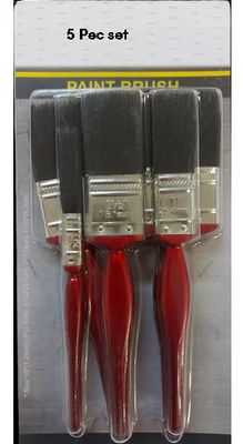 5 Pec Paint Brush Set