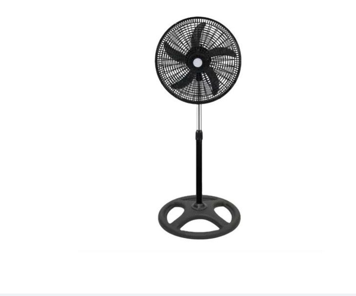 Fan