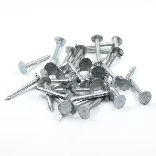 Clout Nails 500g