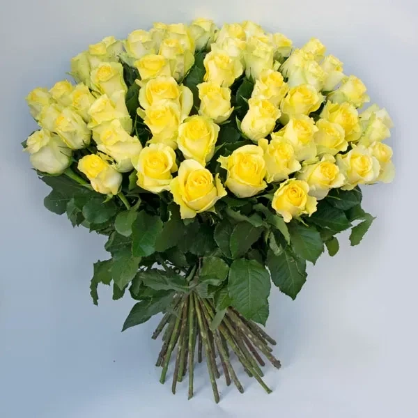 50 Yellow roses