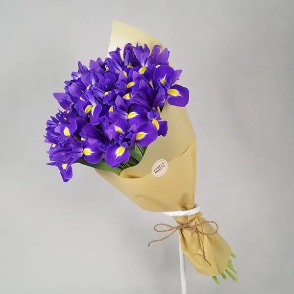 Bouquet with Irises (21pcs)