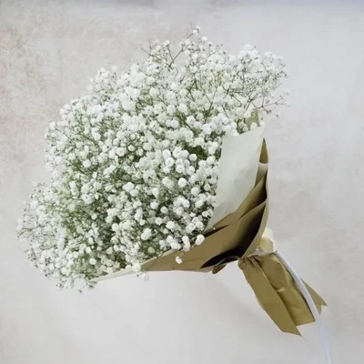 The bouquet is made of baby's-breath.