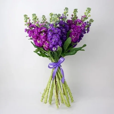 Bouquet with fragnant matiola (10 pc.)