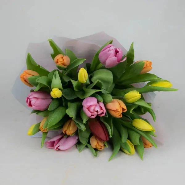 Bouquet of colorful tulips (20 pcs)