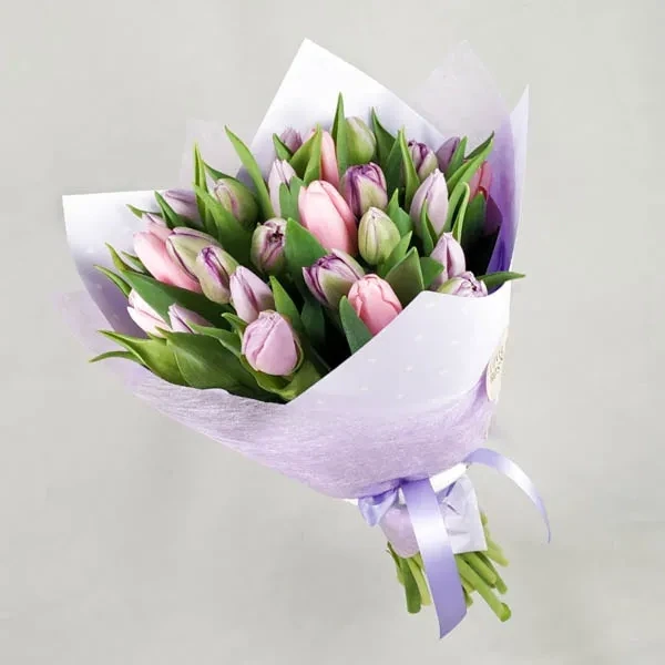 Dutch tulips (25pc)