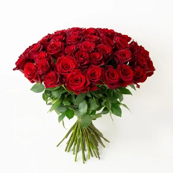 50 Dutch red roses are used in the bouquet.