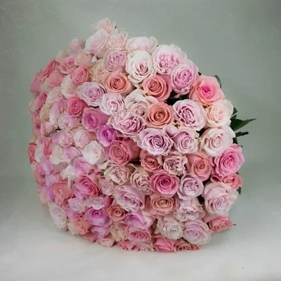 121 Pink roses