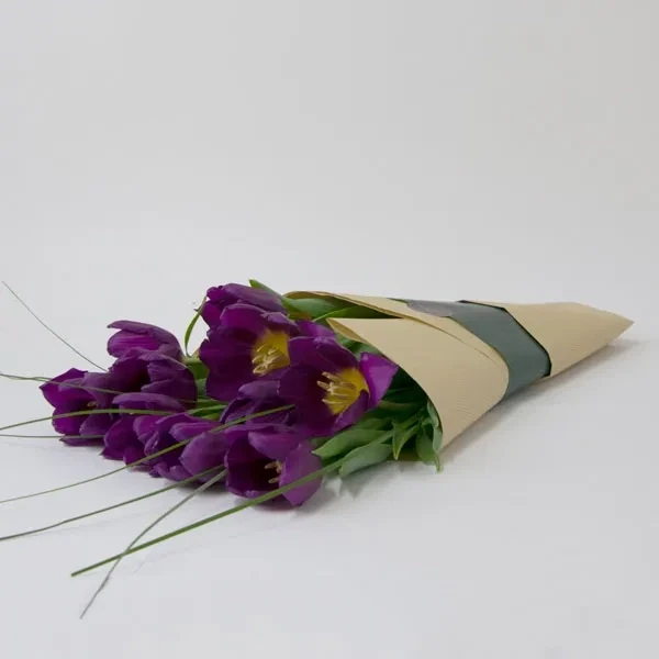 Bouquet of violet tulips (10 tulips)