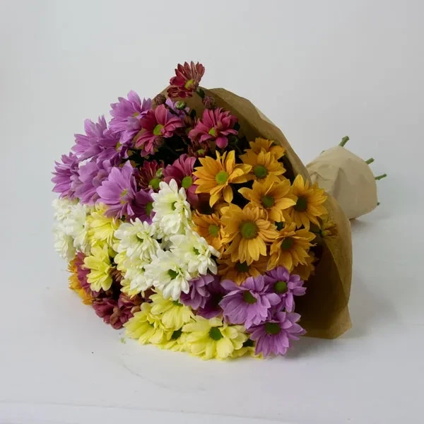 Bouquet of colorful chrysanthemums