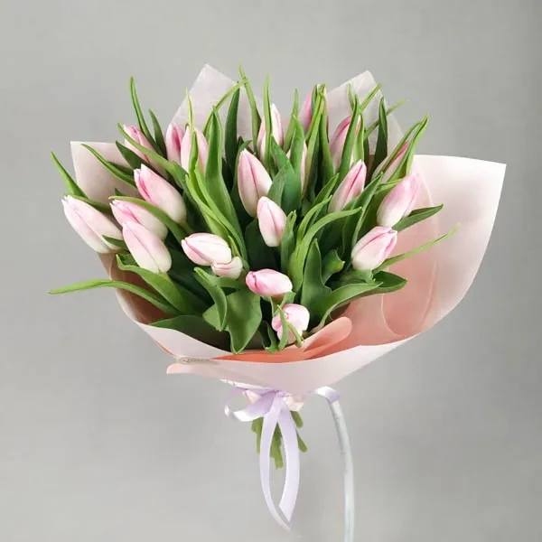 Tulips pink (20 pc.)