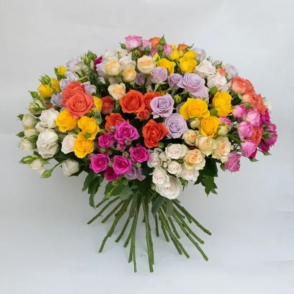 The bouquet is made with 30 spray roses of different colors. The approximate size of the bouquet is…