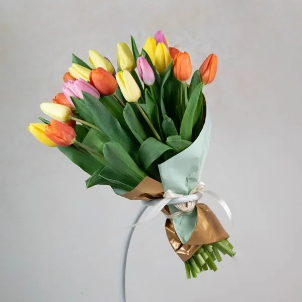 Dutch tulips (25pc)