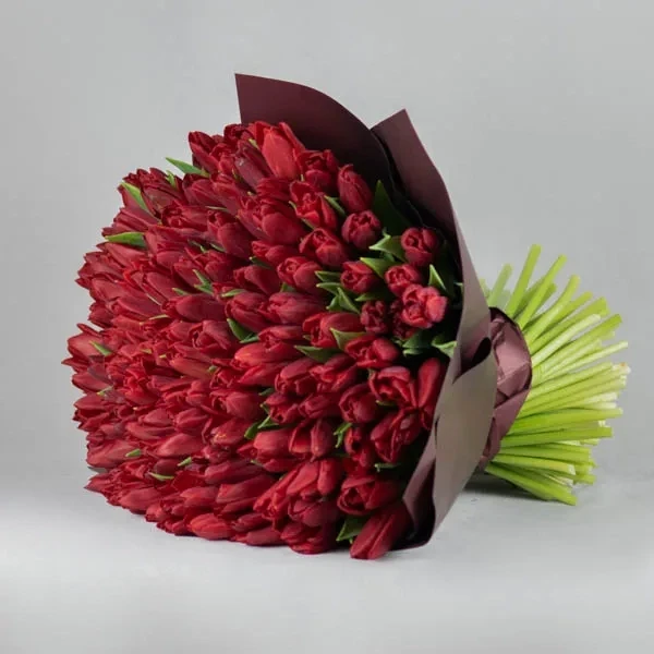 Red tulips bouquet (135 pc.)