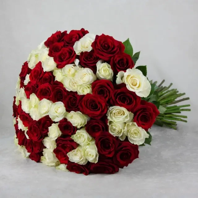 80 red and white roses are used in the bouquet. The approximate height of the bouquet is 70 cm.